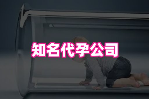 长春助孕网站 1