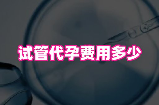长春助孕网站 4